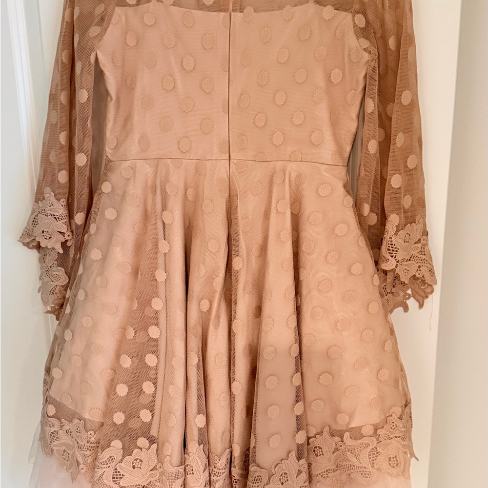 Polka Dot Lace Dress